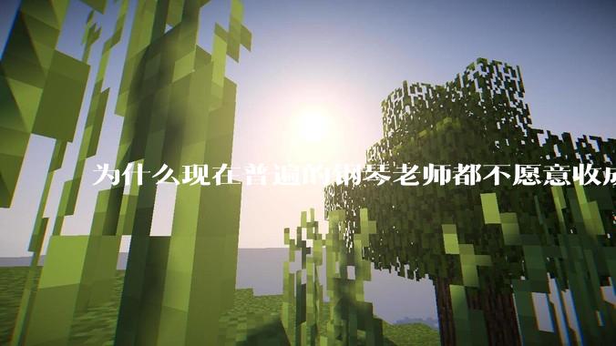 为什么现在普遍的钢琴老师都不愿意收成年学生了？