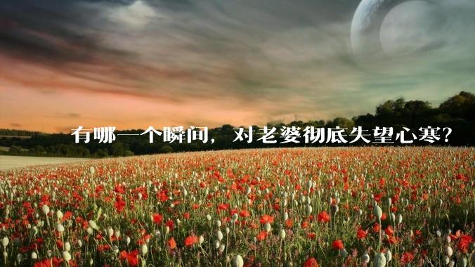 有哪一个瞬间，对老婆彻底失望心寒？